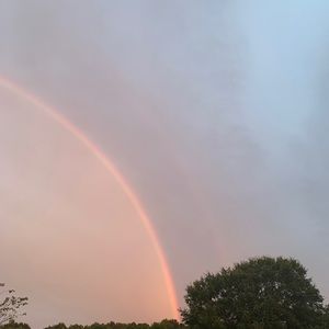 Meet your Posher, Molly